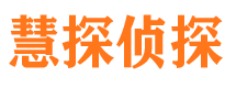 龙沙寻人公司